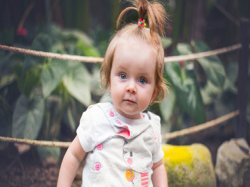 <strong>试管什么需要冰袋（罗湖武警试管邢）</strong>